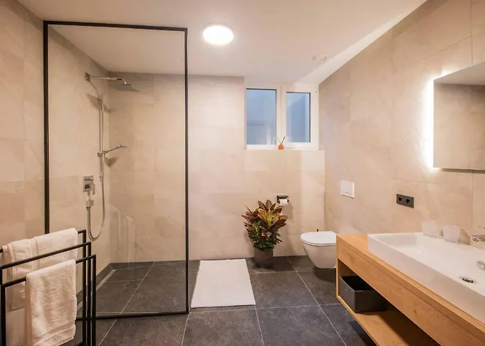 لانداوس غومبولد * نيوستيف ام ستوبيتا